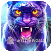 PLAYTECH211